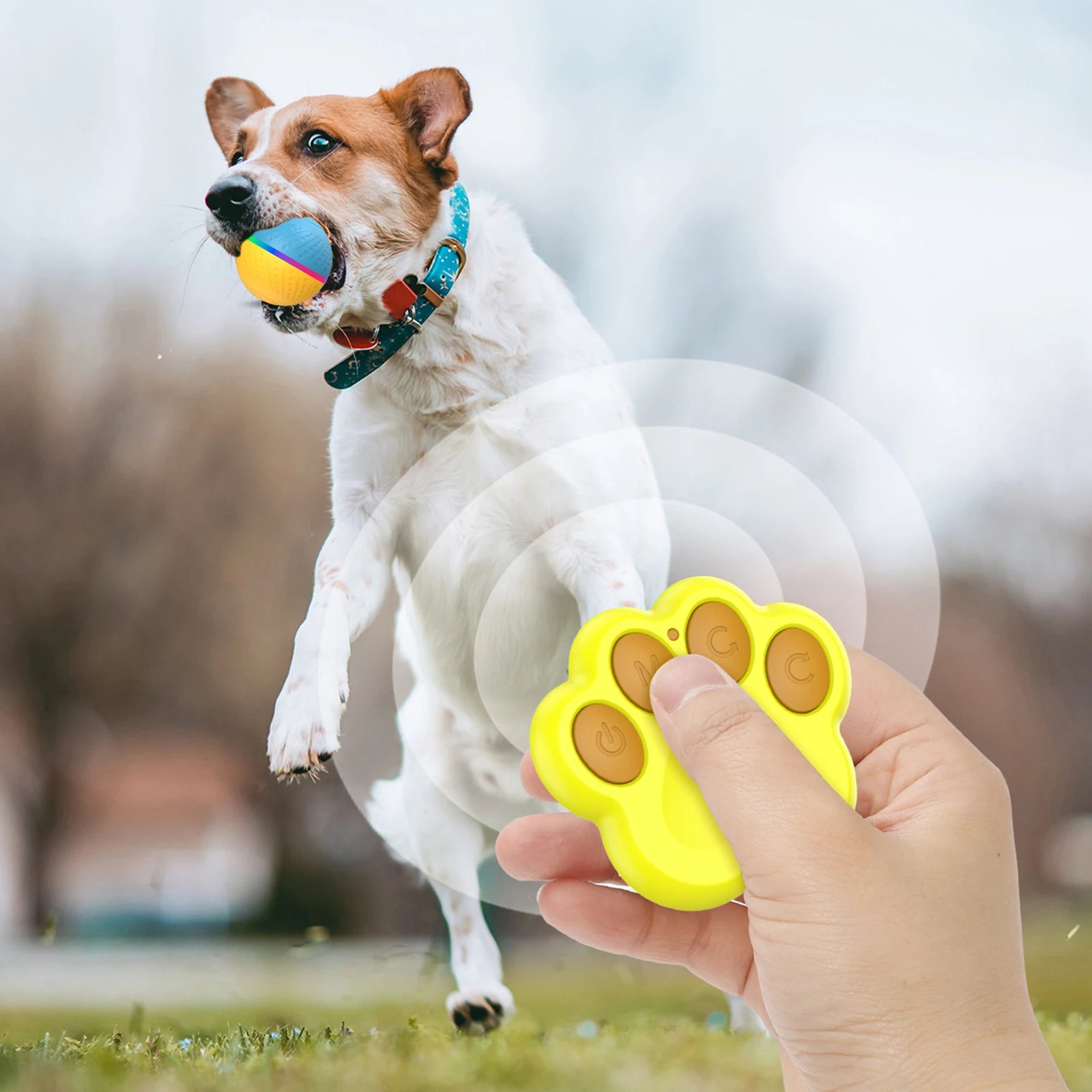 AscentPet™ Fetch Mate