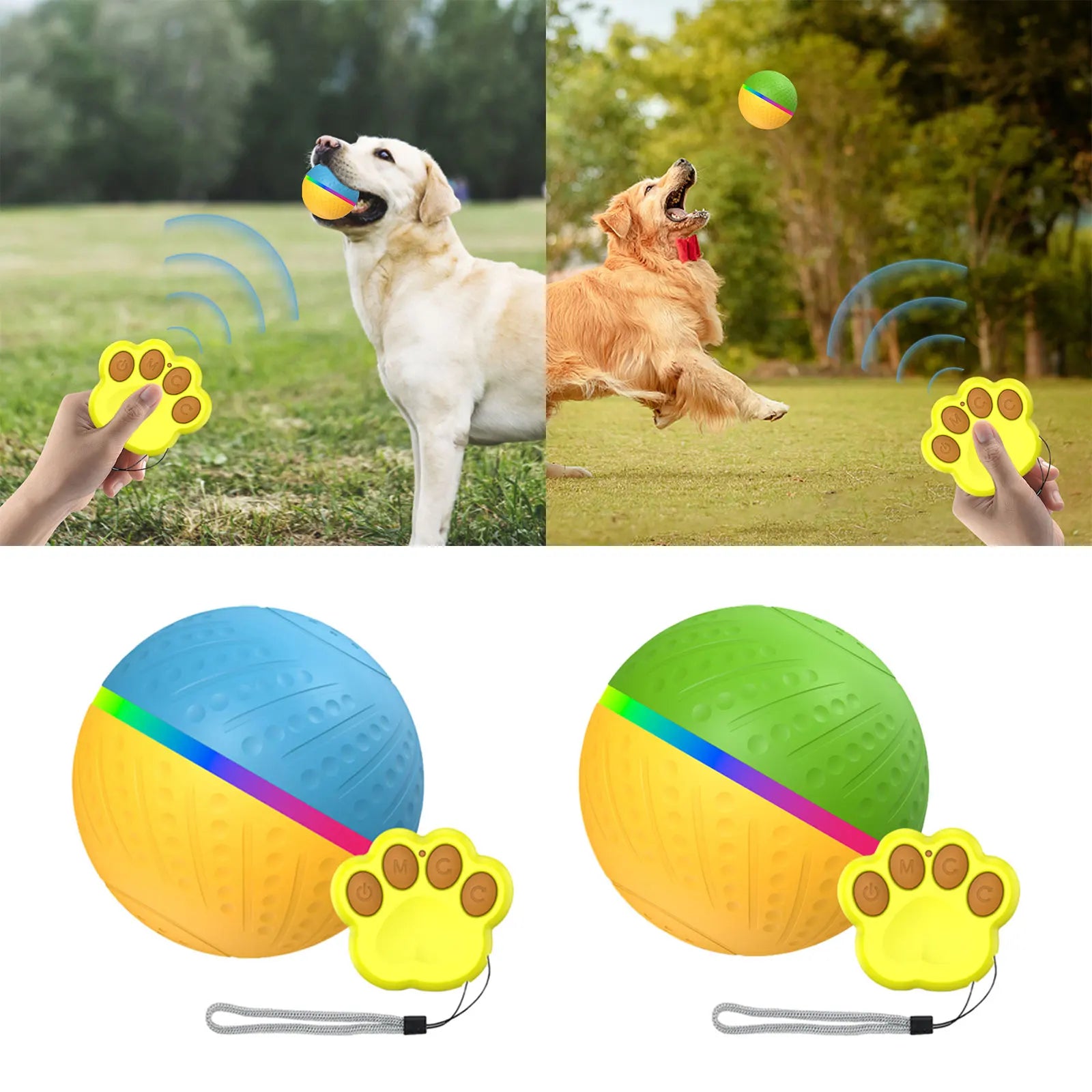 AscentPet™ Fetch Mate