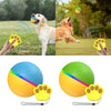 AscentPet™ Fetch Mate